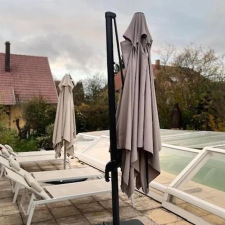 Soh Rent Villa Piscine Proche Strasbourg Tv - Wifi - Parking Lampertheim Kültér fotó